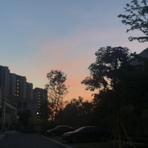 18级成人毛片免费观看
